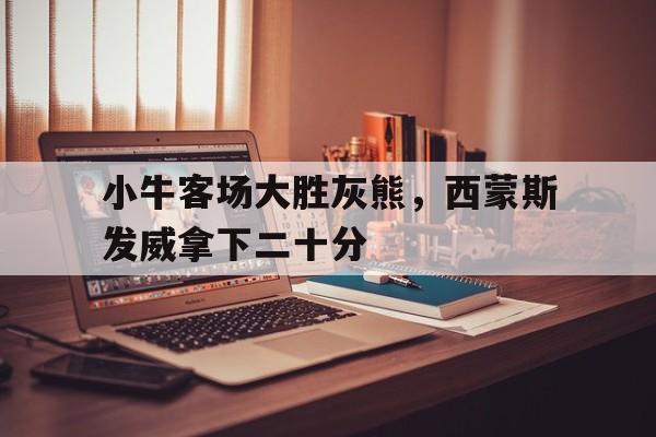 小牛客场大胜灰熊，西蒙斯发威拿下二十分